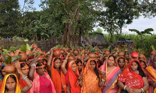 दिलारपुर में बूढ़ी माता पूजा को लेकर 151 महिलाओं की भव्य कलश यात्रा, वृक्ष पूजन कर मांगी समृद्धि की कामना।