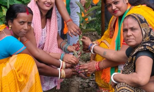 प्रधानमंत्री नरेंद्र मोदी के जन्मदिवस पर भाजपा कार्यकर्ताओं ने किया वृक्षारोपण