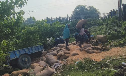 कुरसेला में मक्का से लदी ट्रैक्टर पलटी, चालक बाल-बाल बचा