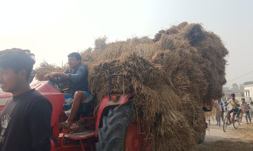 प्रखंड में खरीफ धान की कम कीमत से किसानों में नाराज़गी