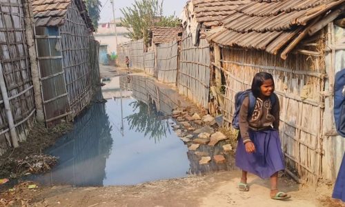कुर्सेला नगर पंचायत वार्ड 10 में  नगर वासी नरकीय जीवन जीने को मजबूर