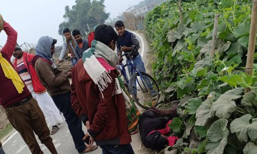 साइकिल और मोटरसाइकिल की टक्कर में दो घायल, एक की हालत गंभीर