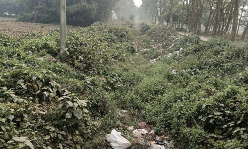 कोठी टोला बड़ी नहर कचरे से पटी, किसानों की सिंचाई व्यवस्था ठप।