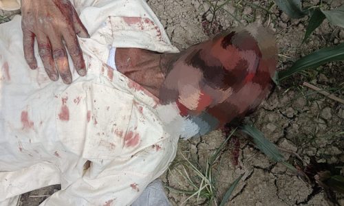 मनिहारी के बनगटटा कुंडी धार के समीप मक्के के खेत में अज्ञात शव मिलने से सनसनी