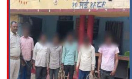 अवैध पशु तस्करी के विरुद्ध कार्रवाई, 22 मवेशी के साथ छह तस्कर गिरफ्तार