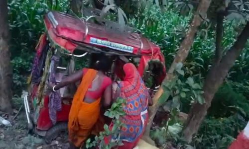 अनियंत्रित टोटो पलटकर पेड़ से टकराया, तीन घायलओवरटेक के दौरान हादसा, टोटो पूरी तरह क्षतिग्रस्त