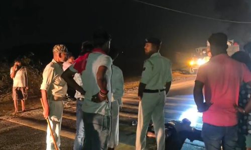 सड़क दुर्घटना में एक युवक को ट्रक ने रौंदा, मौके पर मौत