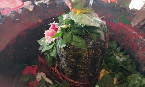 मनिहारी का अर्धनारीश्वर महादेव मंदिर, 1500 साल पुरानी आस्था का प्रतीक