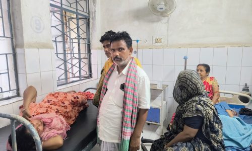मधुमक्खियों का आतंक, कई लोगों को काटने के बाद अनुमंडल अस्पताल में कराया गया इलाज