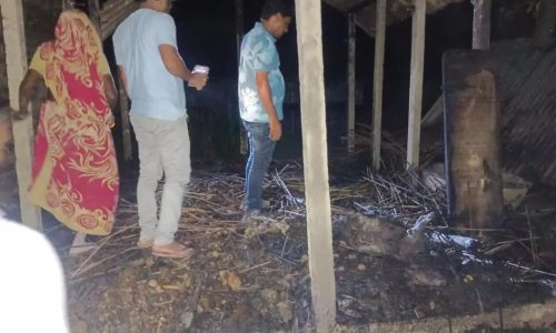 बाजितपुर में आग लगने से गरीब परिवार का घर जलकर राख, आठ बकरियों और गर्भवती गाय की मौत