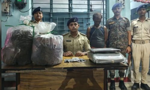 आबादपुर में गांजा के अवैध कारोबार का खुलासा, 14.646 किलो गांजा के साथ एक गिरफ्तार